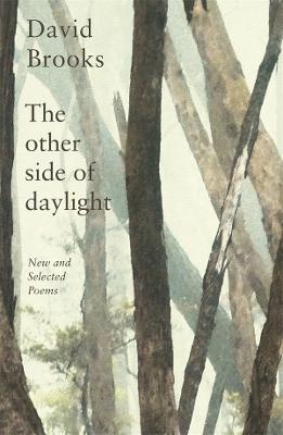 The Other Side of Daylight: New and Selected Poems by David Brooks ISBN:9780702268281