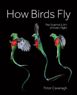 How Birds Fly: The Science and Art of Avian Flight by Peter Cavanagh ISBN:9780228104865