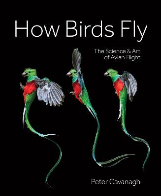 How Birds Fly: The Science and Art of Avian Flight by Peter Cavanagh ISBN:9780228104865