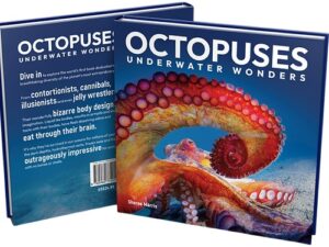 Octopuses Underwater Wonders by Sheree Marris