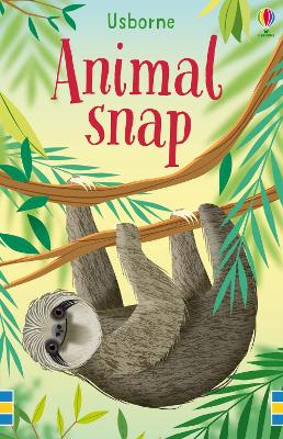 Animal Snap by Fiona Watt ISBN:9781474974523