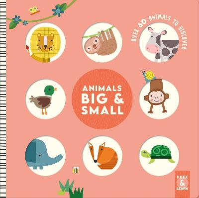 Animals Big & Small: Over 60 Animals to Discover by Rebecca Weerasakera ISBN:9781641243933