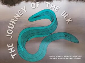 Journey of the Iilk by Carolyn Briggs and Balnarring Preschool