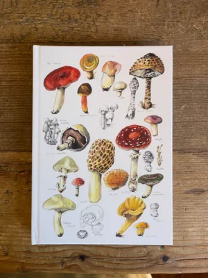 Anna Pignataro Mushrooms A5 Unlined Journal