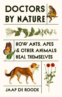 Doctors by Nature: How Ants