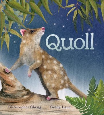 Quoll by Christopher Cheng ISBN:9781760655679
