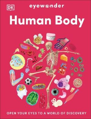 Eyewonder Human Body: Open Your Eyes to a World of Discovery by DK ISBN:9780241732250