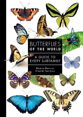 Butterflies of the World: A Guide to Every Subfamily by Blanca Huertas ISBN:9780691265209