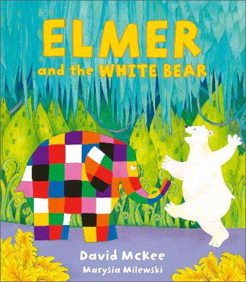 Elmer and the White Bear by David McKee