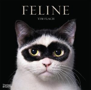 Feline by Tim Flach ISBN:9781760764371