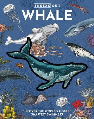 Inside Out Whale: Discover the World's Biggest