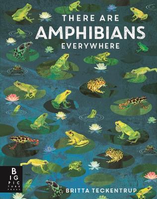 There Are Amphibians Everywhere by Camilla De La Bedoyere