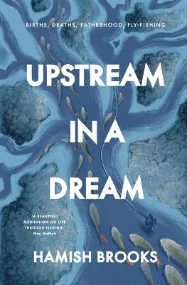 Upstream in a Dream by Hamish Brooks