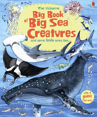 Big Book of Big Sea Creatures by Minna Lacey ISBN:9781836049470