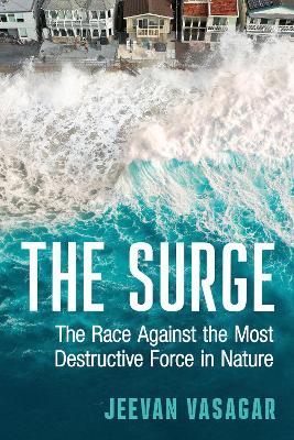 Surge by Jeevan Vasagar