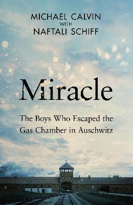 Miracle by Michael Calvin