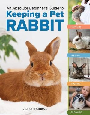 An Absolute Beginner's Guide to Keeping a Pet Rabbit: Handling
