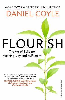 Flourish: The Art of Building Meaning