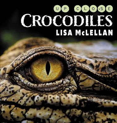 Crocodiles Close Up by Lisa Mclellan