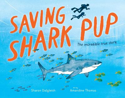 Saving Shark Pup: The amazing true story by Sharon Dalgleish ISBN:9781761182013