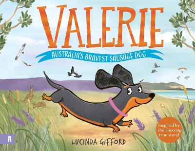 Valerie: Australia’s Bravest Sausage Dog by Lucinda Gifford