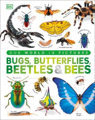 Our World in Pictures Bugs