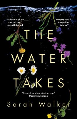 Water Takes by Sarah Walker