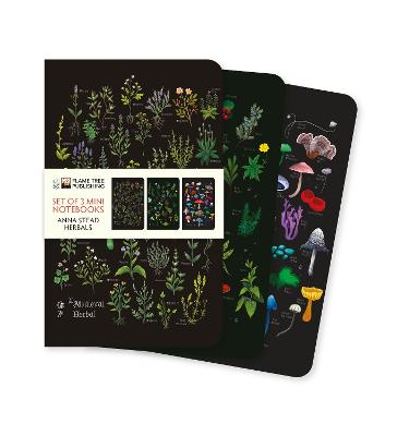 Anna Stead: Herbals Set of 3 Mini Notebooks by Flame Tree Studio ISBN:9781835627020