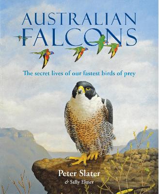 Australian Falcons: The secret lives of our fastest birds of prey by Peter Slater ISBN:9781925546743