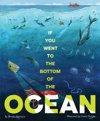 If You Went to the Bottom of the Ocean by Brooke McIntyre ISBN:9781797226514